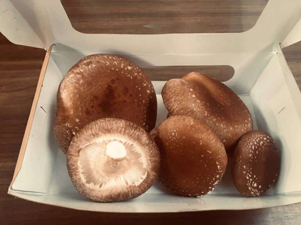 Fresh Shiitake for sale online or markets