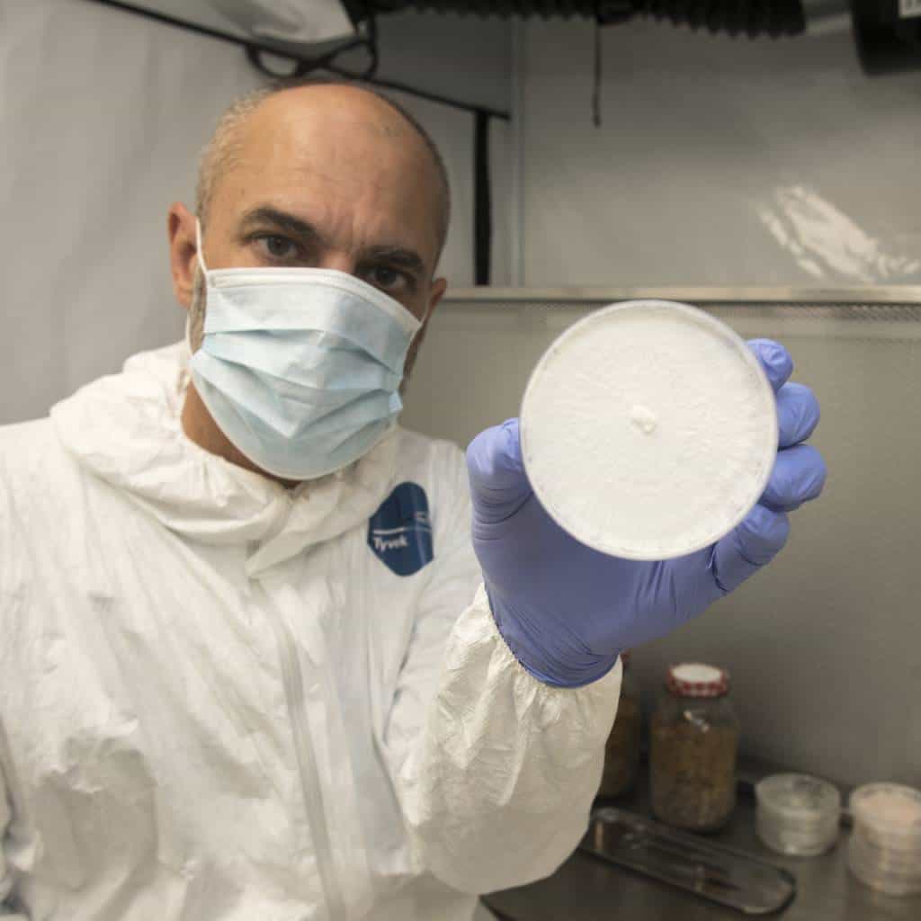 Brent in the lab with cultures on petri dish