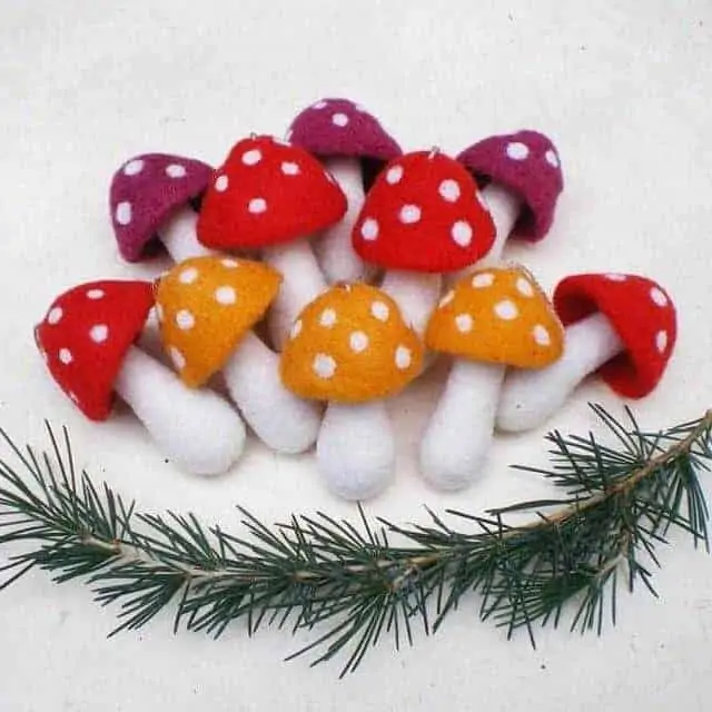Mushroom grow kits for Christmas
