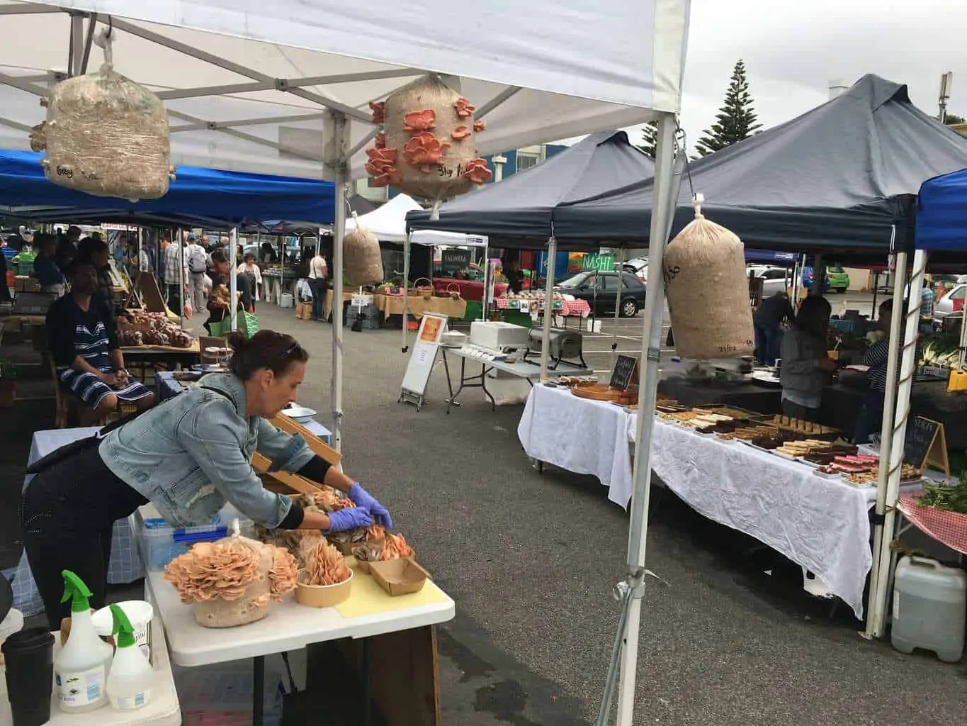 Farmers Markets - Local Paraparaumu beach market