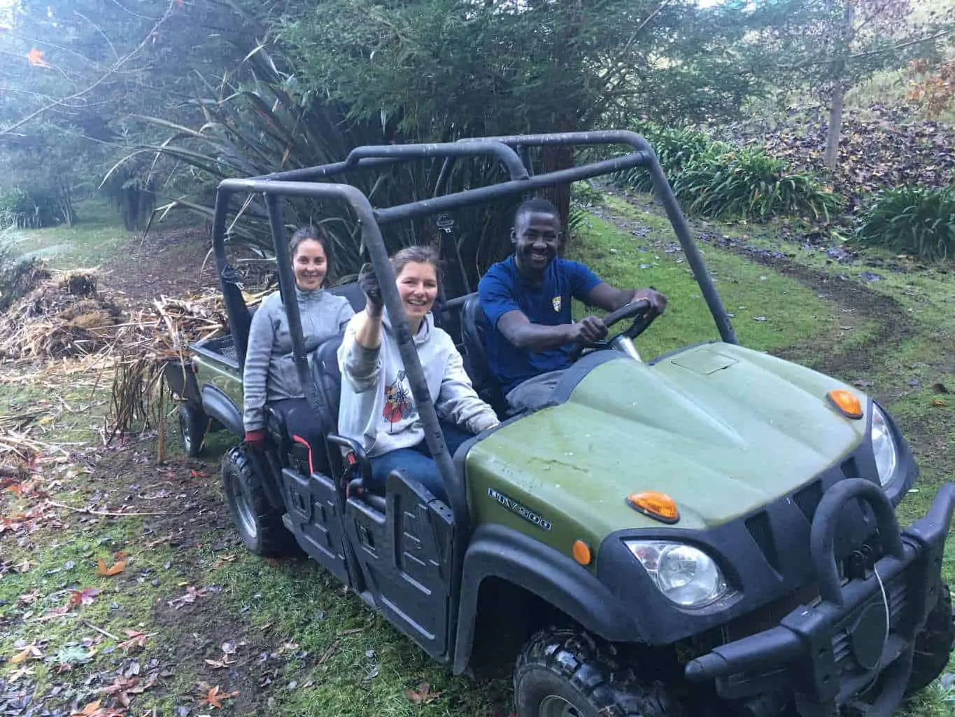 Volunteers learning mushroom growing on the farm