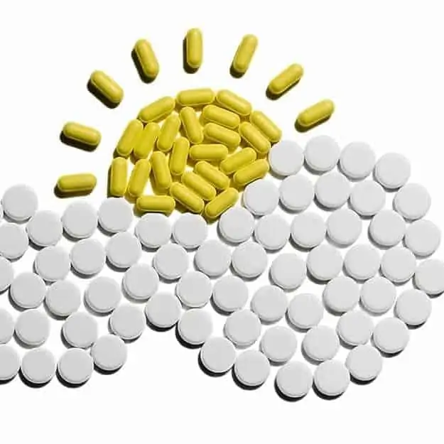 Mushrooms the only source of Vitamin D for vegans