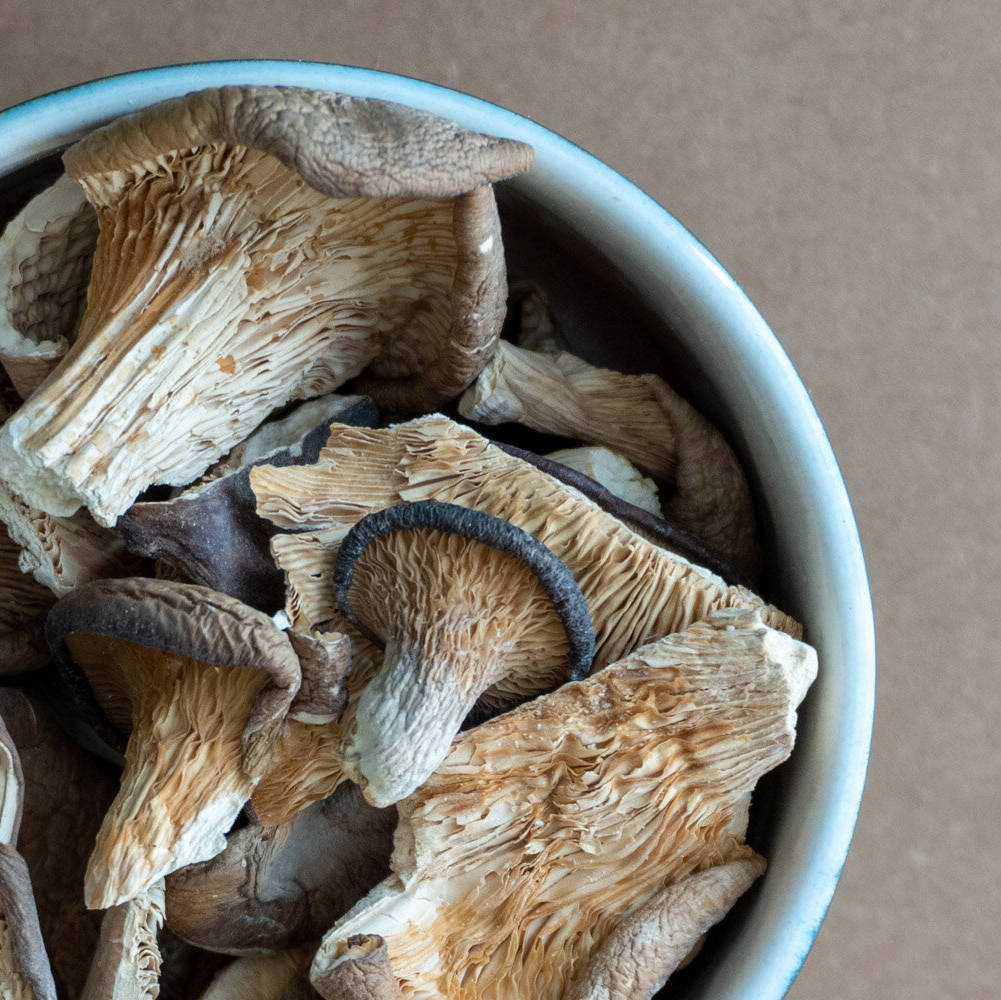 dried oyster mushroom