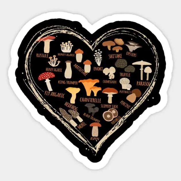 vegans love mushrooms