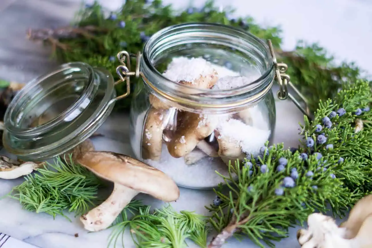 Salt cured mushrooms