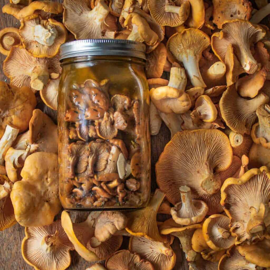 Pickled Mushrooms