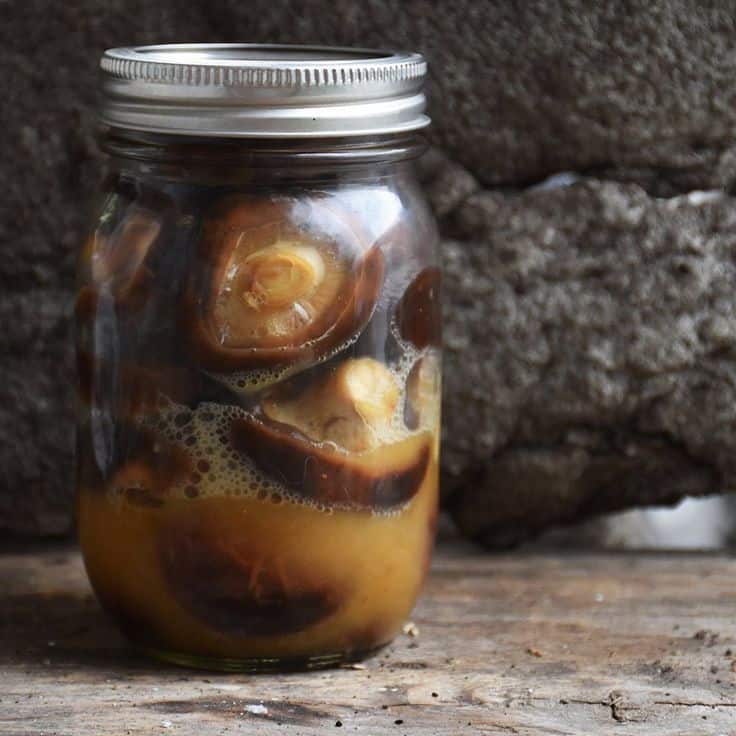 Fermenting mushrooms in a jar
