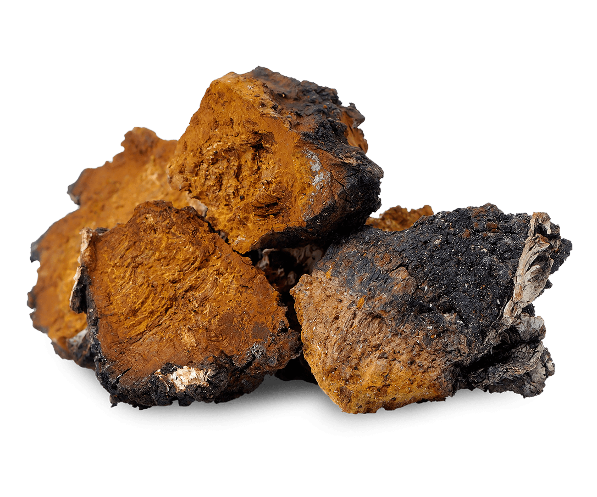 Chaga mushroom extracts