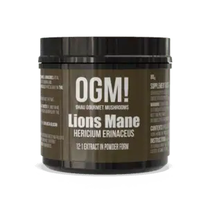 Lion's Mane Extract powder supplement