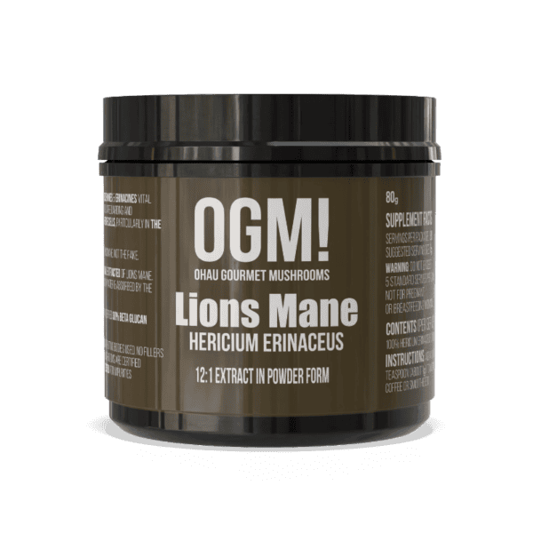 Lion's Mane Extract powder supplement
