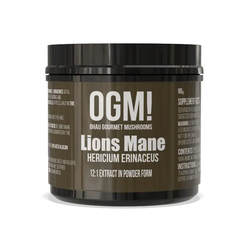 Lion's Mane Extract powder supplement