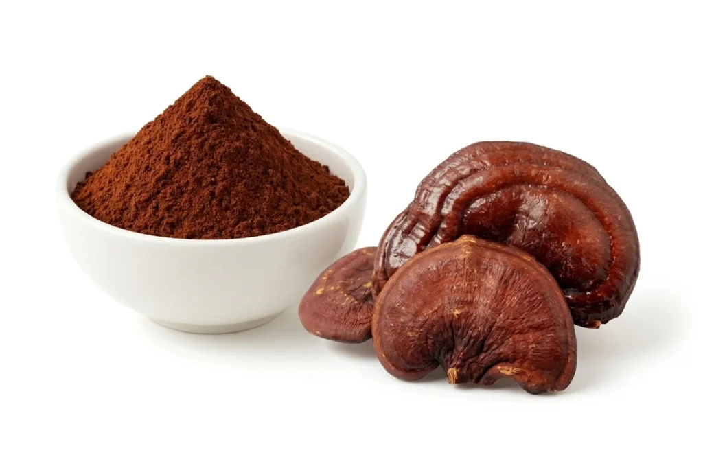 Reishi mushroom extract powder