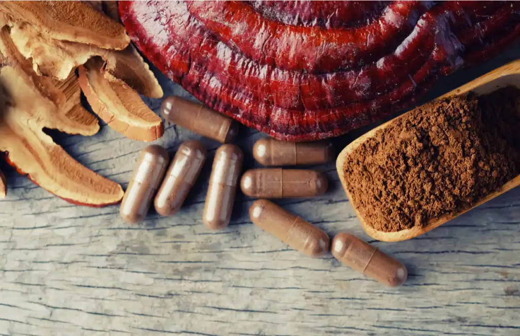 Reishi mushroom supplement functional food
