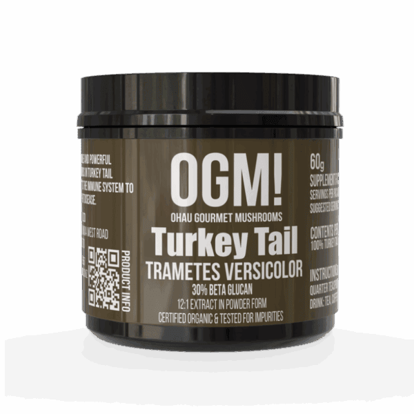 Turkey Tail extract mushroom supplement powder