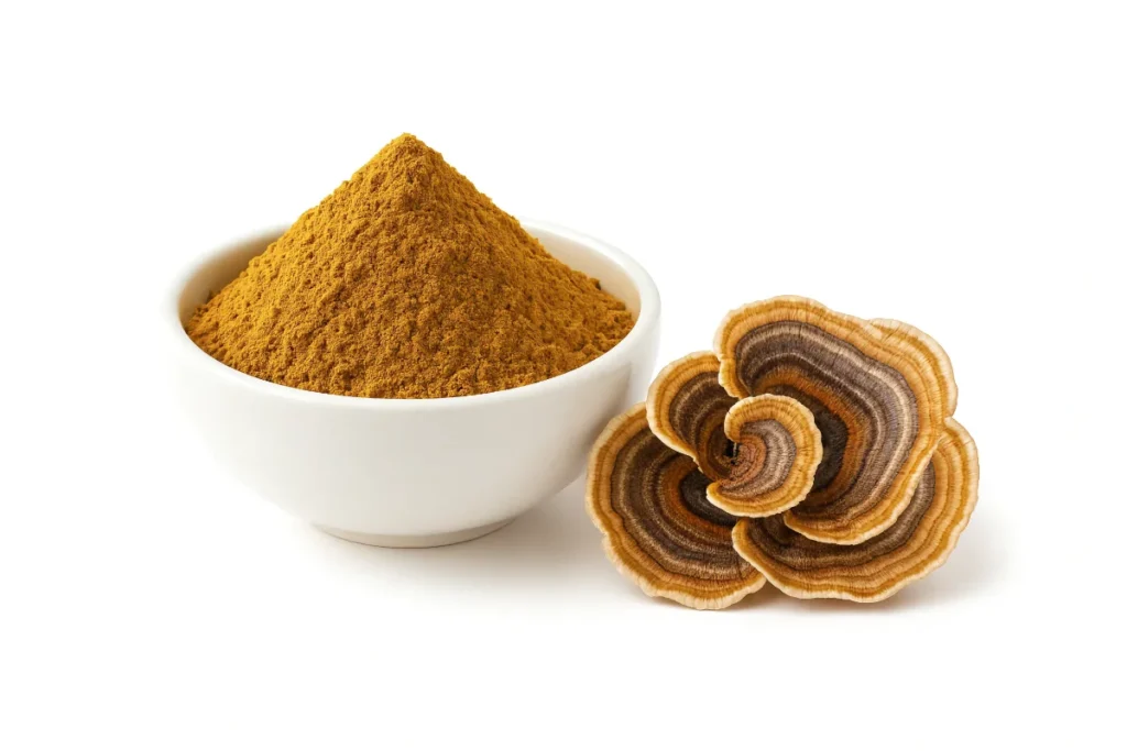 Organic Turkey Tail powder available in NZ