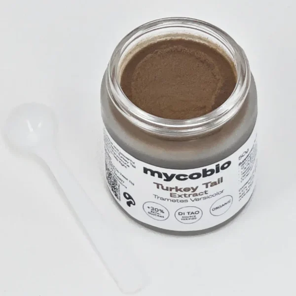 Turkey Tail Extract 3 Turkey tail extract showing fine powder