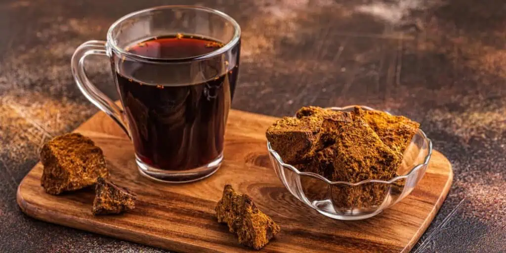 Chaga's fight against cancer