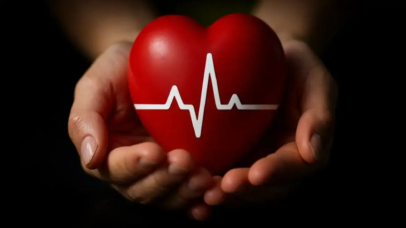 Chaga for heart health