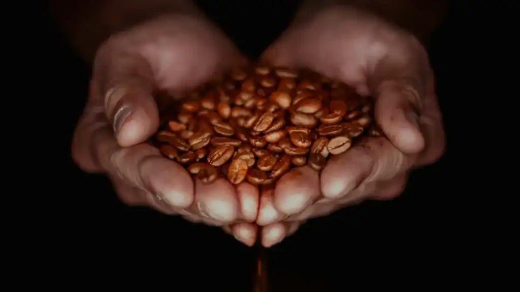 coffe beans used in our mushroom coffee blend