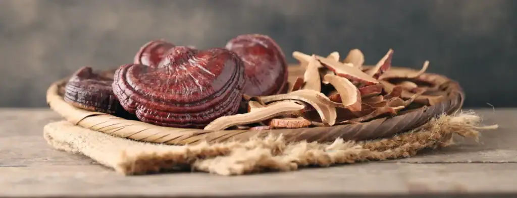 Reishi Mushroom for skincare