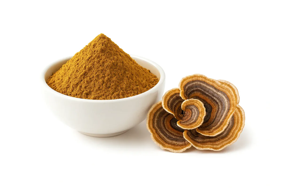 Choosing the best NZ Turkey Tail organic extract powder