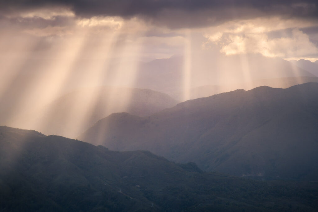 Lion's Mane effects week 2-3