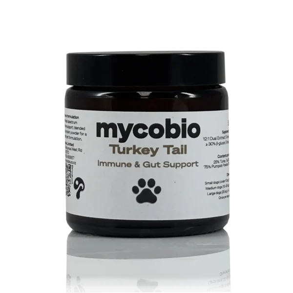 Turkey Tail for Dogs – Immune & Gut Support