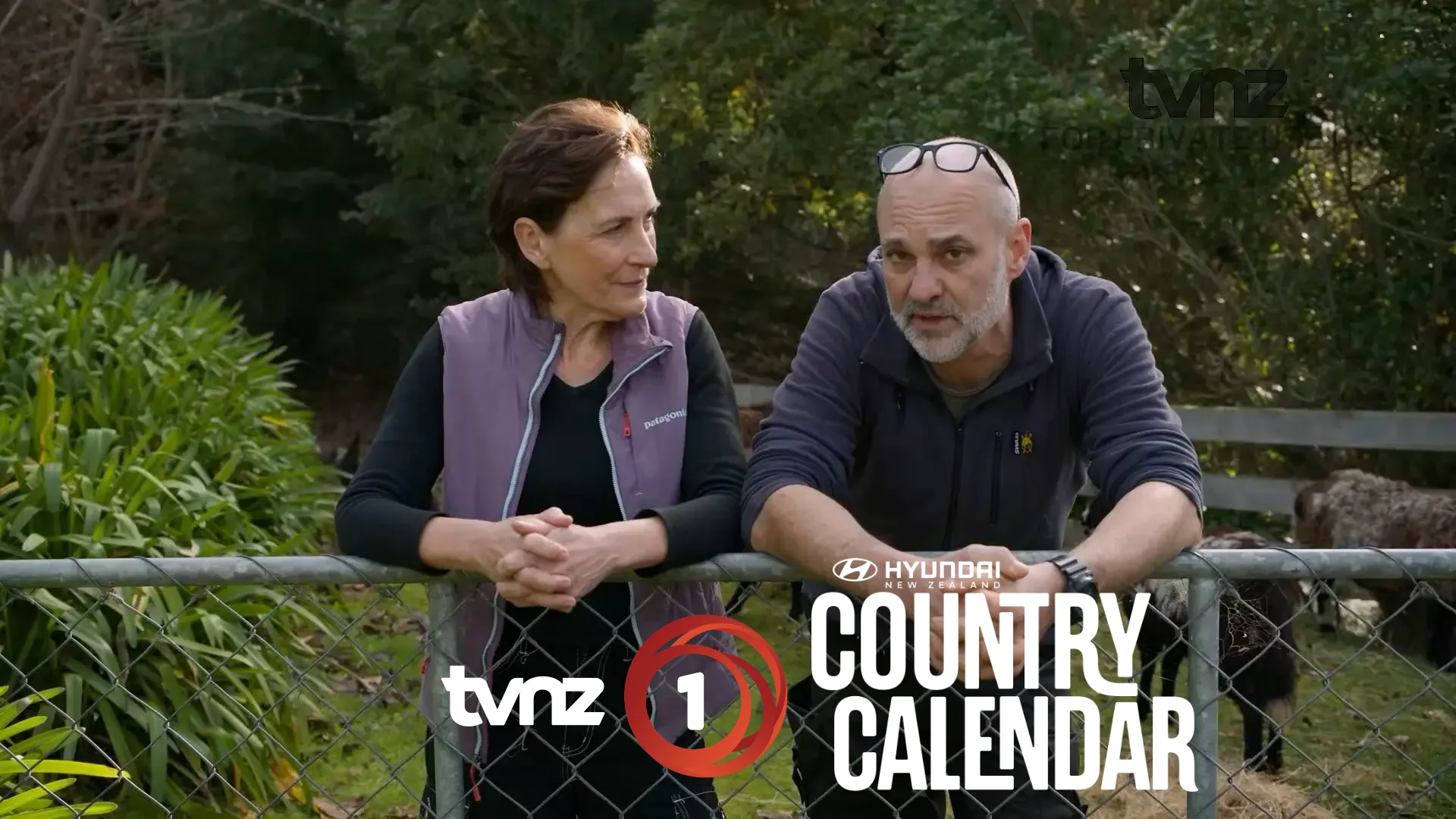 As seen on country calendar